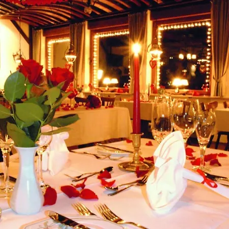 Hotel-restaurant Zur Mainlust Hotel Maintal