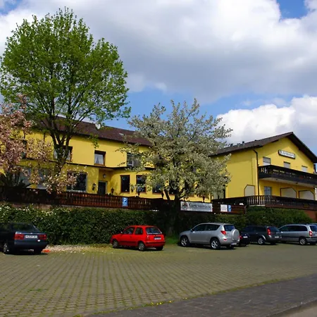 Hotel-restaurant Zur Mainlust 3*