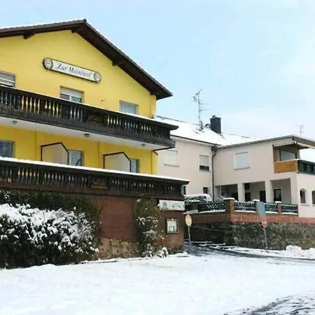 Hotel-restaurant Zur Mainlust 3* Maintal