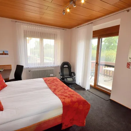 Hotel-restaurant Zur Mainlust Hotel 3*