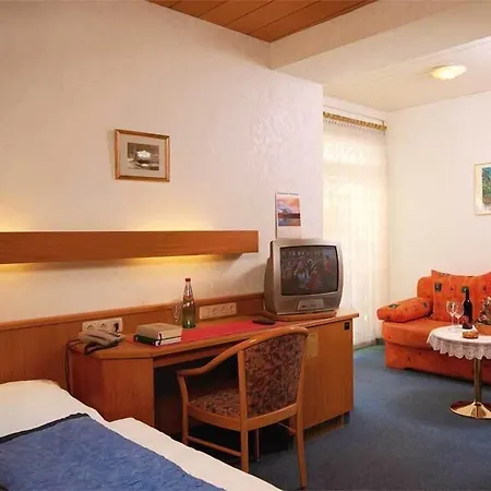 Hotel Hotel-restaurant Zur Mainlust