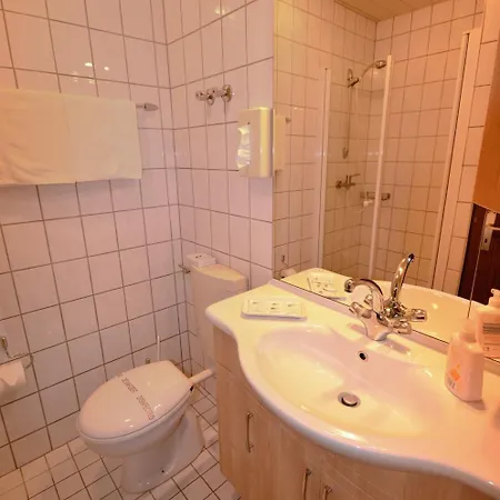 Hotel Hotel-restaurant Zur Mainlust 3*