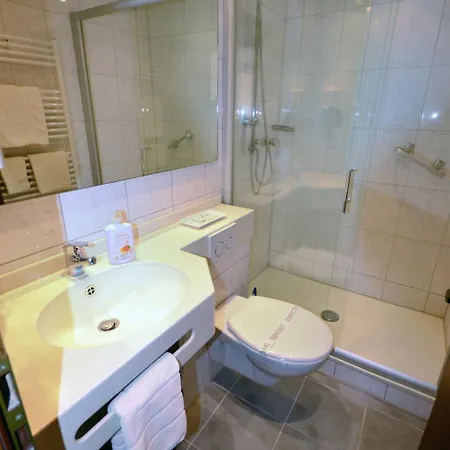 Hotel-restaurant Zur Mainlust Hotel