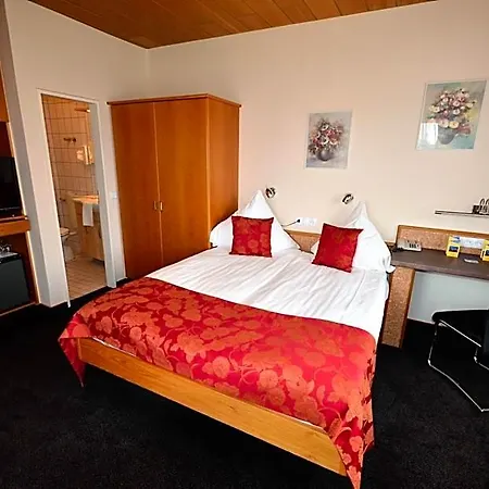 Hotel-restaurant Zur Mainlust 3* Μάινταλ