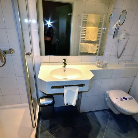 Hotel Hotel-restaurant Zur Mainlust 3*