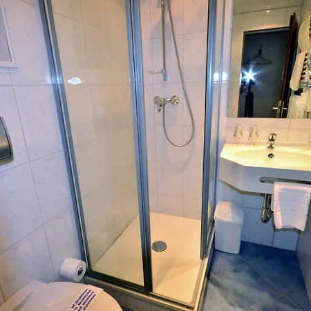 Hotel Hotel-restaurant Zur Mainlust 3*