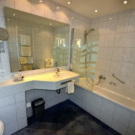 Hotel-restaurant Zur Mainlust Hotel