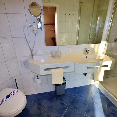 Hotel Hotel-restaurant Zur Mainlust 3*