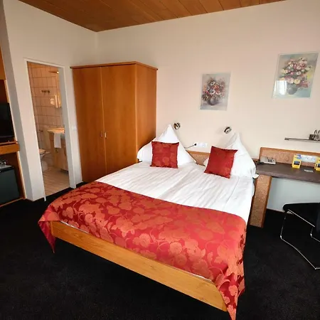 Hotel-restaurant Zur Mainlust 3* Μάινταλ