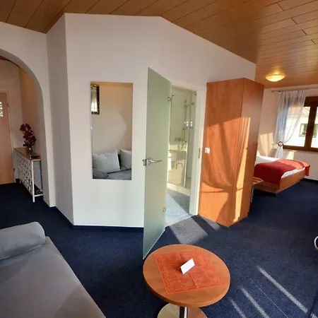 Hotel-restaurant Zur Mainlust Hotel 3*