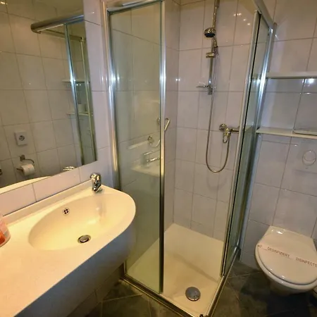 Hotel-restaurant Zur Mainlust Hotel 3*