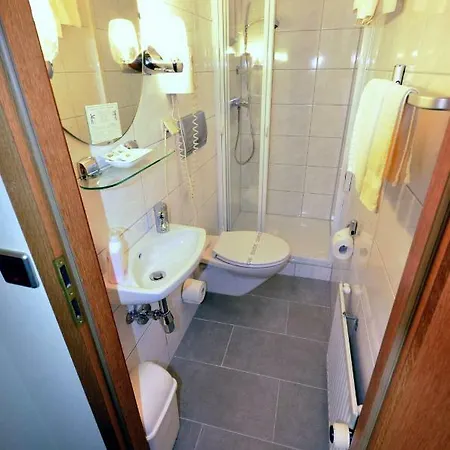 Hotel-restaurant Zur Mainlust Hotel