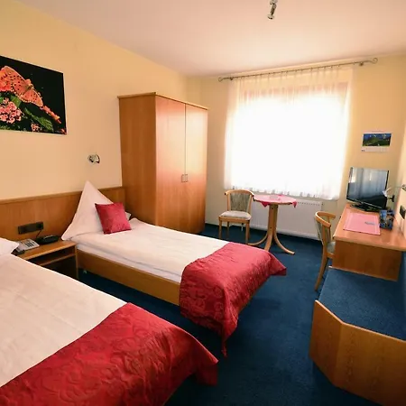 Hotel Hotel-restaurant Zur Mainlust 3*