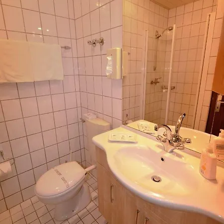 Hotel-restaurant Zur Mainlust