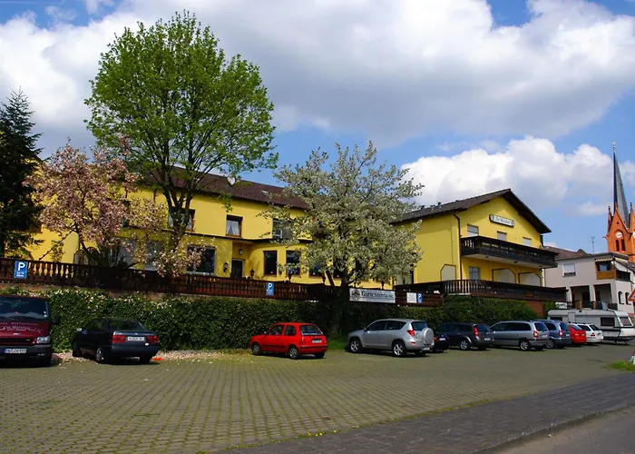 Hotel-restaurant Zur Mainlust 3*