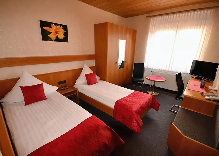 Hotel-restaurant Zur Mainlust Maintal