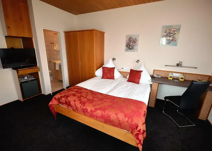 Hotel-restaurant Zur Mainlust 3* Maintal