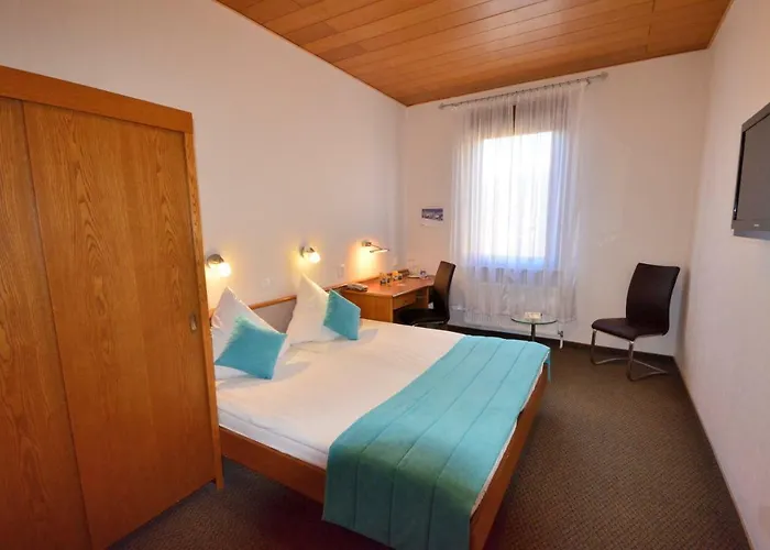 Hotel-restaurant Zur Mainlust Szálloda 3*