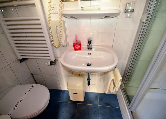 Hotel-restaurant Zur Mainlust Maintal