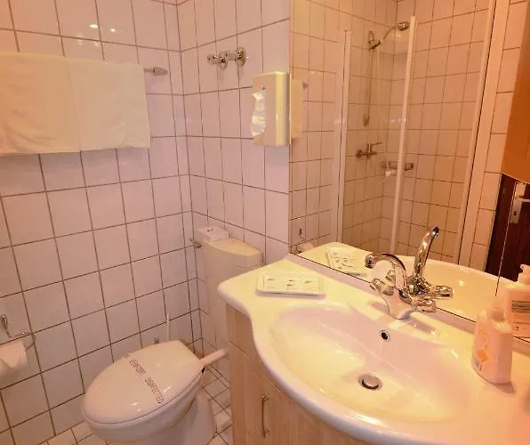 Hotel-restaurant Zur Mainlust